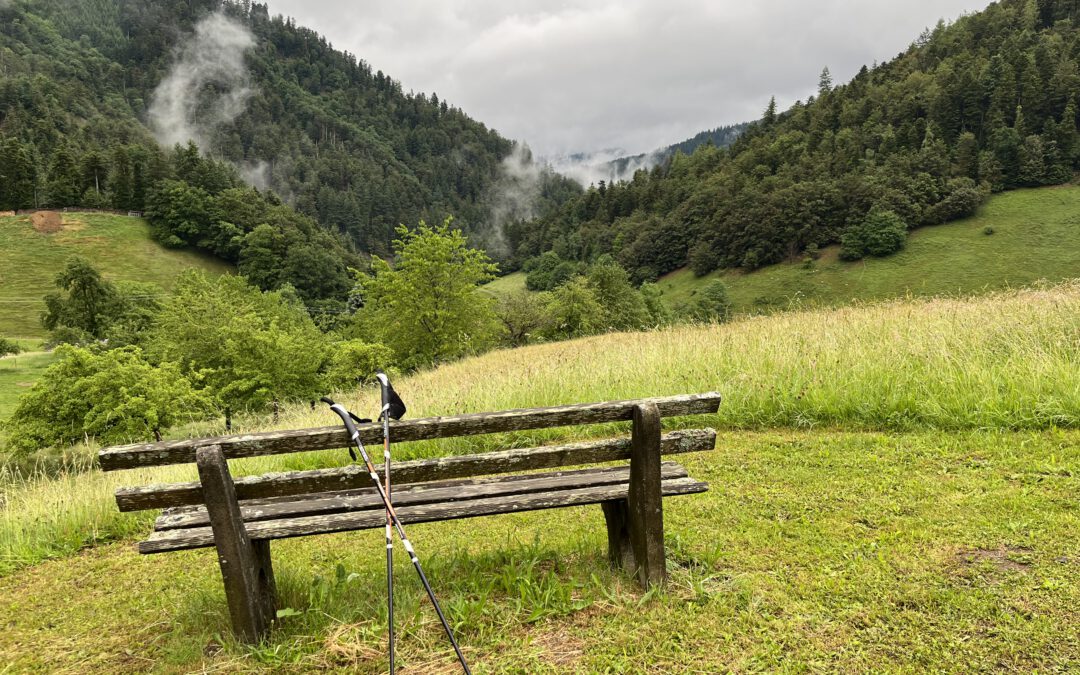 Auch im Schwarzwald Ossiloop anners